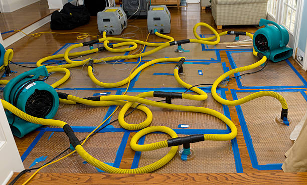 Professional Water Extraction technician working in Braceville, IL